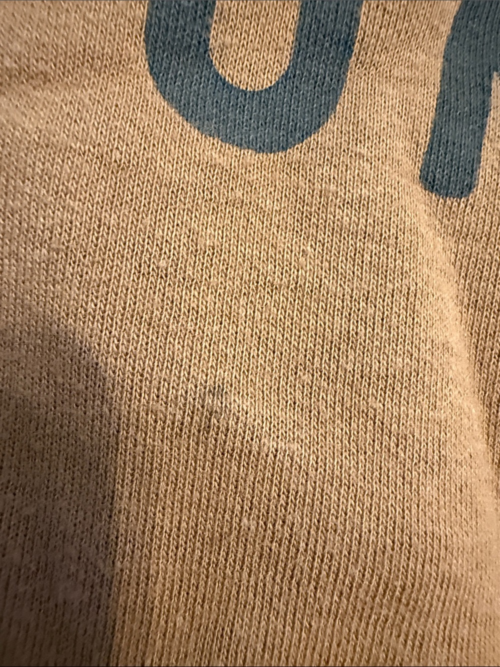 Kids Pumpkin Graphic Sweatshirt - Brown - Picture 4 of 5